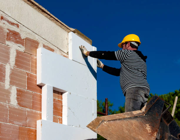 Best Fiberglass Insulation in Despard, WV