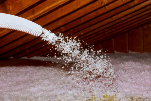 Best Insulation Maintenance and Repair in Despard, WV
