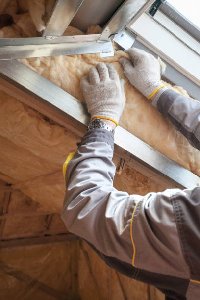 Best Insulation for Specific Applications in Despard, WV