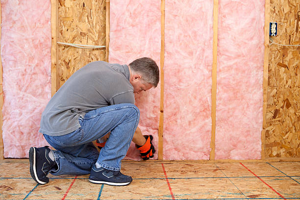 Best Specialized Insulation Services in Despard, WV