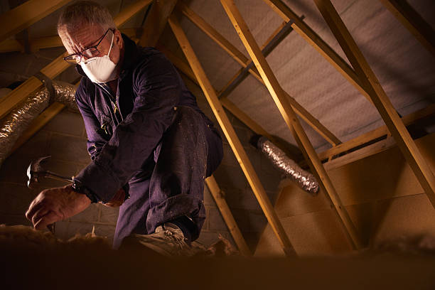 Best Cellulose Insulation in Despard, WV